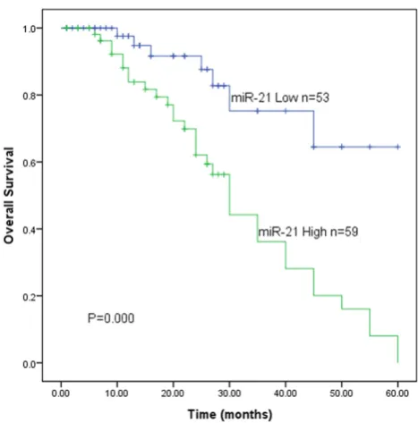 Table 2. Multivariate analyses of prognostic variables of overall survival in DLBCL patients