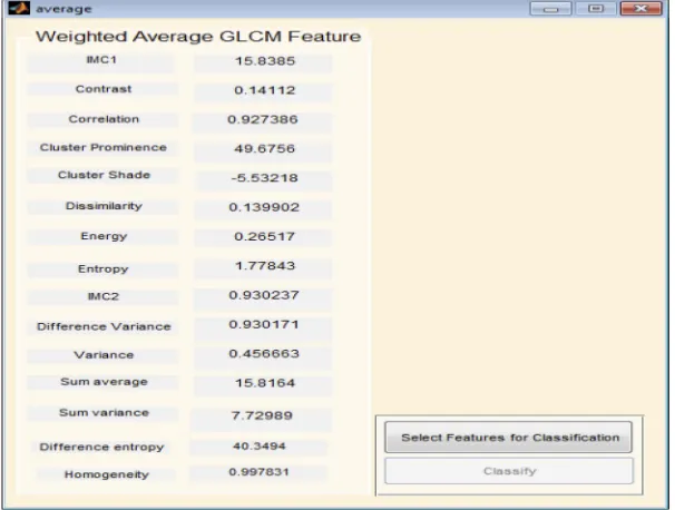 Figure 6 Weighted gray level co-occurrence matrix (GLCM) features computed at distances 1 and 2.
