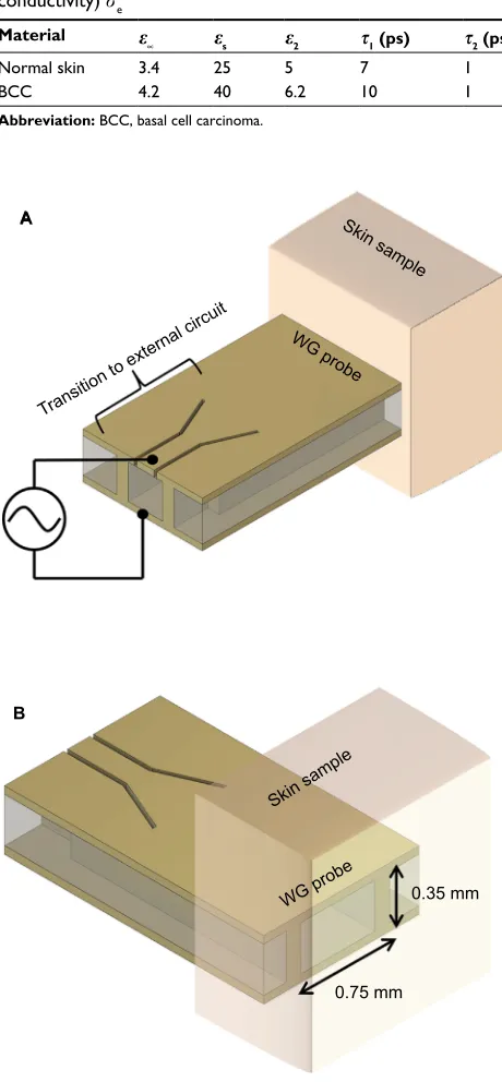 Table 1 Double Debye parameters for normal skin and BCC conductivity) for the calculation of the frequency-dependent relative electric permittivity er and total effective conductivity (equivalent se