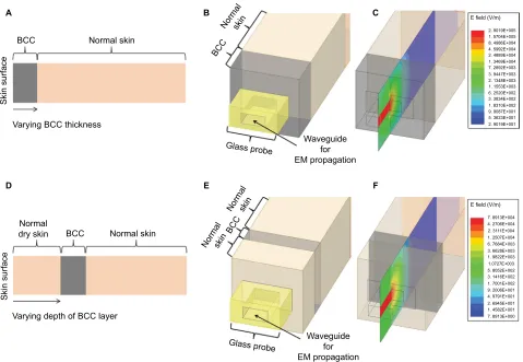 Figure 3 Scenario 1: (A) BCC layer (of different thicknesses) on the surface of normal skin; (B) the corresponding EM simulation setup; and (C) illustration of the TE10 propagation mode
