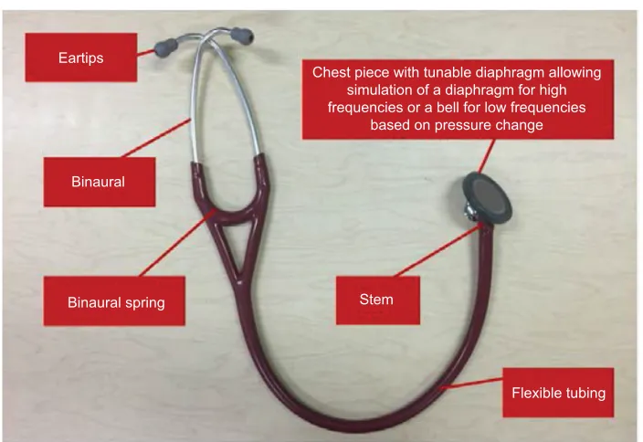 Figure 1 Main components of the conventional stethoscope.