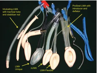 Figure 2 LMA family.
