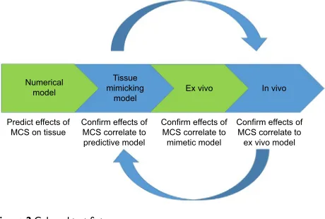 Figure 2 Gels and test fixture process.Abbreviation: MCS, Metered Cryospray™.
