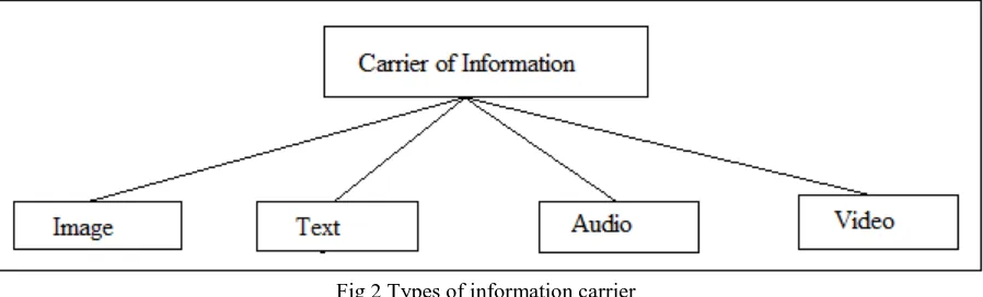 Fig 2 Types of information carrier Image - It is one of the most carriers used in steganography