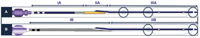 Figure 3 Absorb BVS™ and Absorb GT1 BVS™ catheter delivery systems.with the mid lap seal, proximal seal, and distal seal (the blue circles, from proximal to distal, respectively)