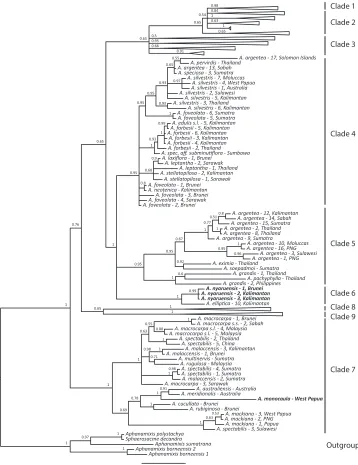 Figure 4. Majority-rule consensus tree of the combined nuclear dataset (ITS and ETS). Node values indicate Bayesian posterior probabilities