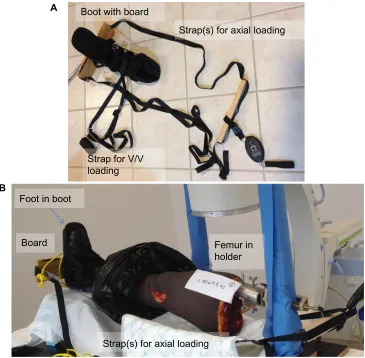 Figure 3 apparatus used to hold the specimen for load application.Notes: (A) The apparatus alone; (B) a leg placed into the apparatus for testing.