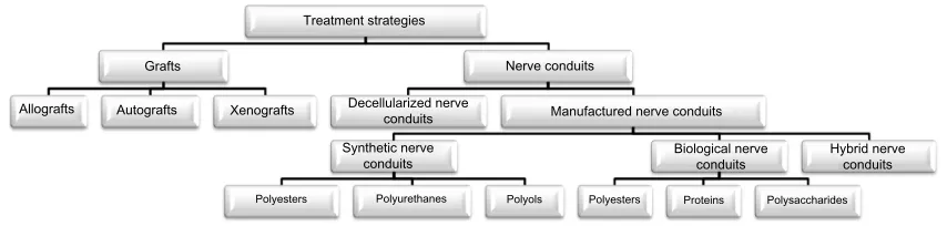 Figure 3 Classification of treatment strategies for nerve injuries.