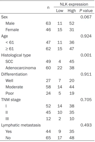 Table 2. The correlations between NLK ex-pression and the clinicopathological param-eters of lung cancers