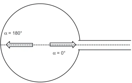 Figure 1 Bidimensional schematic representation of a port indicating the two directions of the needle bevel orientation.