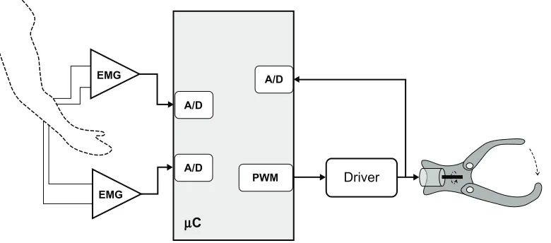 Figure 3 Block diagram of the control circuit of the prosthesis.Abbreviations: A/D, analog to digital converter; EMG, electromyograph; PWM, pulse-width modulated.
