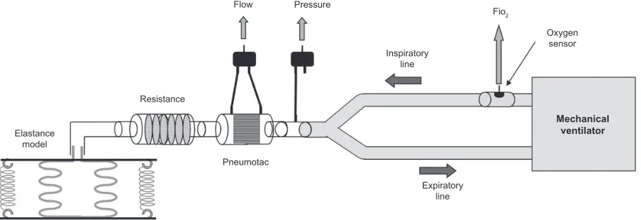 Figure 1 Experimental set-up.
