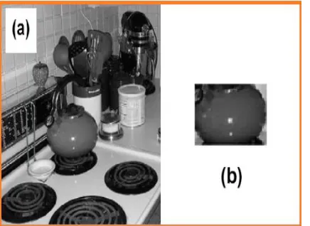 Figure 1.4.1 -- an object appearance (b) does not tell enough about its identity. The scene (a) adds contextual info [i.e