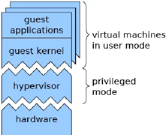 Figure 1: Pure Virtualization System 