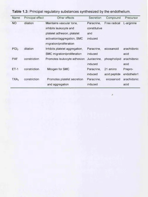 Table 1.3: Principal regulatory substances synthesized by the endothelium.