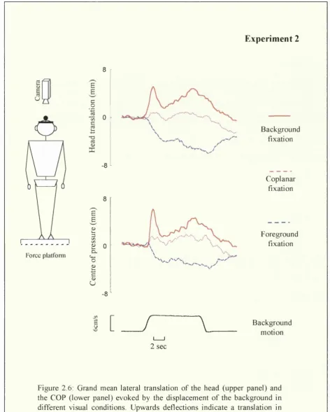 Figure 2.6: Grand mean lateral translation of the head (upper panel) and 