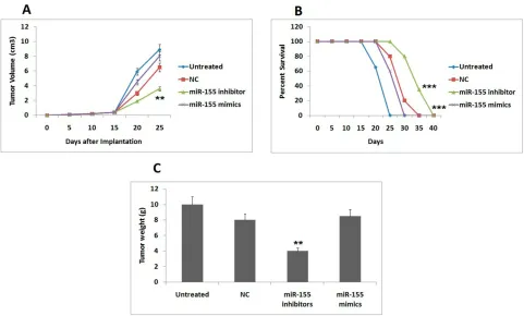 Figure 5 miR-155 inhibitor increases the anti-tumor character of DCs. For studying the therapeutic effect immunotherapy treatment in DCs were evaluated in four aspectsof tumors which included.Notes: (A) Tumor growth plot showing mean ﬁnal tumor volume, (B)