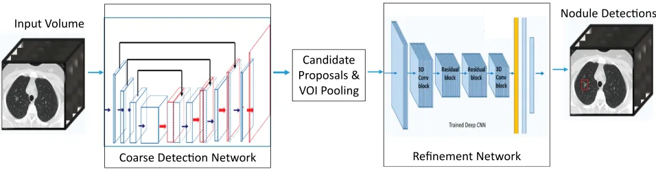 Figure 1 3D CNNs-CAD classiﬁcation network architecture. A coarse-to-ﬁne approach was adopted by using a fully convolutional network V-Net for coarse candidatedetection and multi-level contextual 3D CNNs for ﬁne-tuning