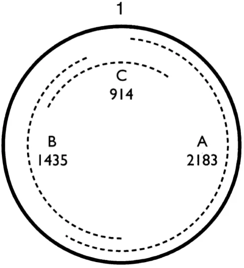 Figure 2.1 Positions of the 3 overlapping PCR products in the PMV genome 