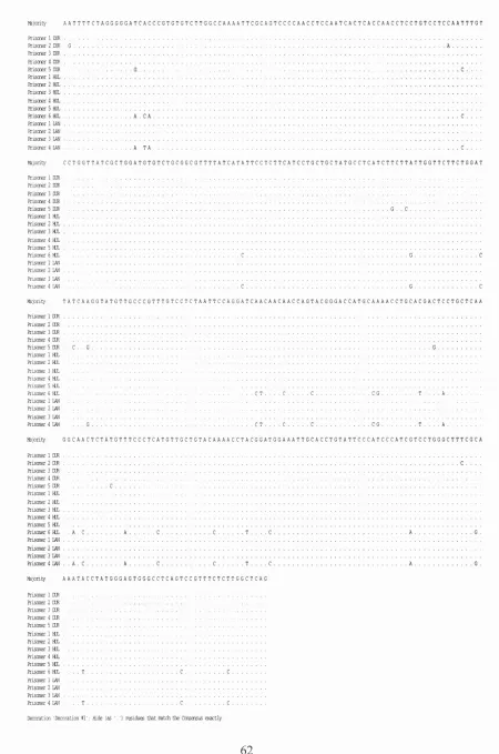 Figure 3.1a Nucleotide alignment of surface gene PCR product sequences amplified from prison samples