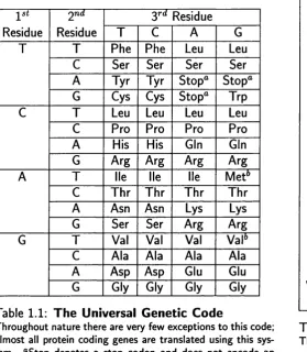 Table 1.1: The Universal Genetic Code