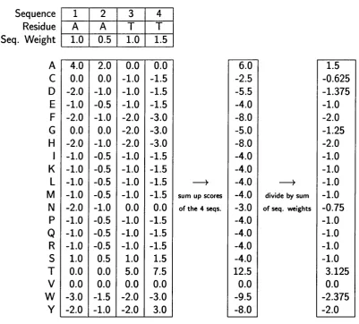 Figure 2.2: Construction of the PSSM. value for the four amino acids multiplied by their respective sequence weights