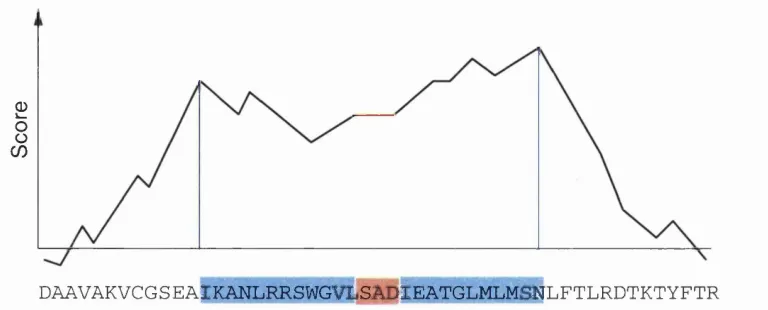 Figure 2.3: Segment Extension. scoring segment are defined by the maximum scores (vertical blue lines) giving the segment acid at a time until the extension score (black line) reaches zero