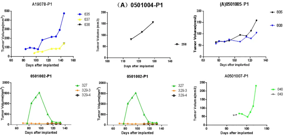 Figure 1 The growth curve of P1 generation mice. A total of 15 mice are successfully modeled 4The tumor formation time is 40–6 weeks after injection