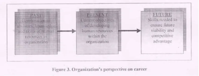 Figure 3. Organization’s perspective on career 