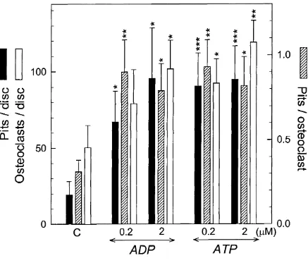 Figure 3.12Effect of ADP and ATP on osteoclast formation and excavation of resorption pits in 