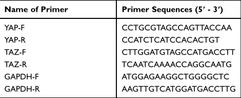 Table 1 Primer Sequences Used in qRT-PCR