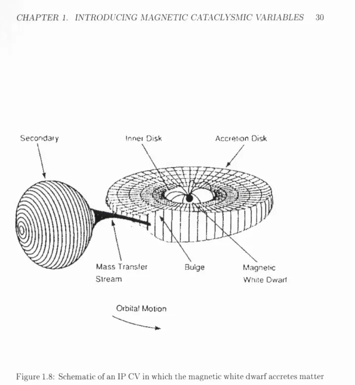 Figure 1.8:  Schematic of an IP CV in which the magnetic white dwarf accretes matter  from  a  truncated  disc