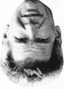 Figure 1.2 An exam ple o f the particularly disruptive effect o f inversion on face perception