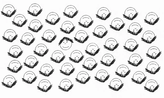 Figure 1.7 An upright schem atic face ean ‘pop out’ from an array o f inverted faces, but only 