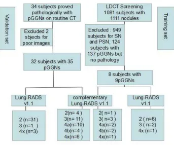 Table 2 Summary of Lung-RADS Version 1.1 of pGGN and ItsComplementary Lung-RADS Categories