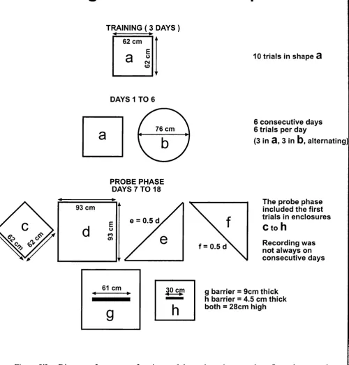 Figure 8il. Diagram of sequence of testing, and the various shapes and configurations tested, for r977