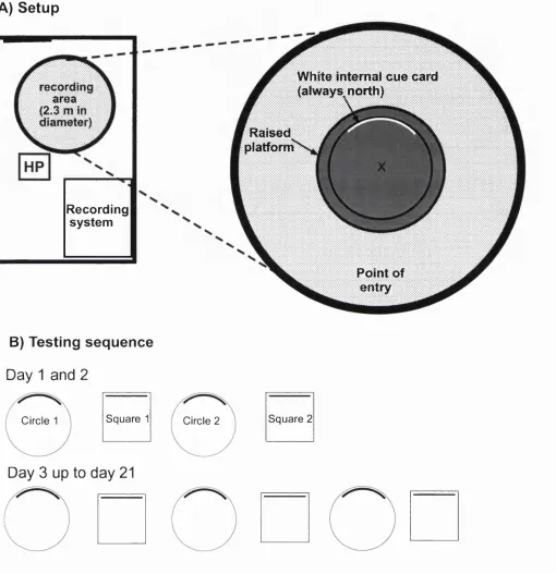 Figure 9. Diagram of laboratory setup and testing sequence used in experiment 2.