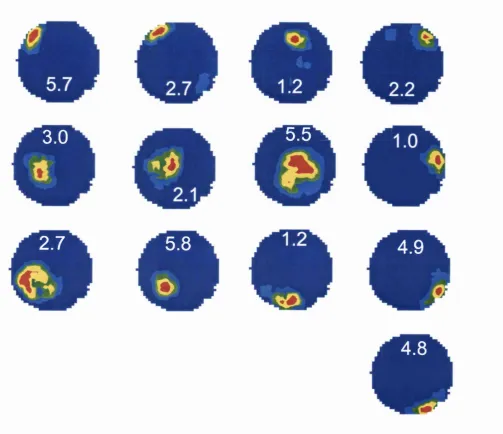 Figure 4a. 13 simultaneously recorded place cells from one tetrode, showing place fieldshomogenously distributed in the environment.
