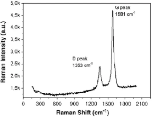Figure  1.12. Typical Raman spectrum of a MWCNT .[73] 