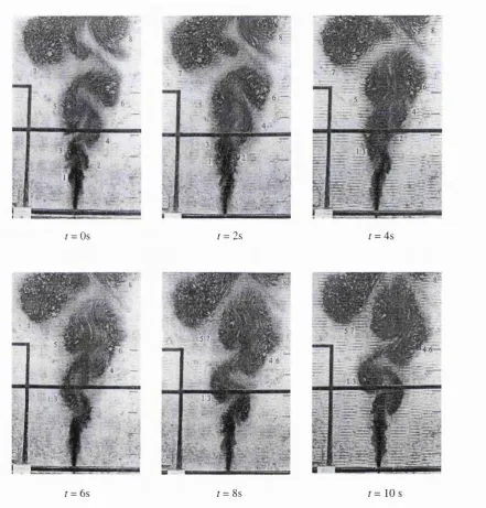 Figure 1.10: Time-lapse streak photography of a jet-like current emerging into a still basin