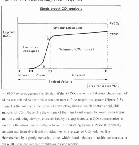 Figure 2-5: Three Phases of Single Breath C O 2 Curve