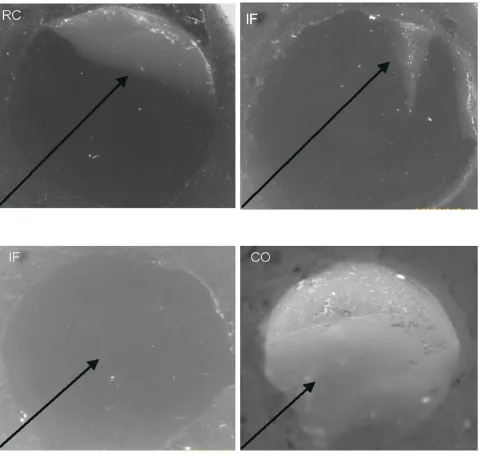 Figure 1 Failure modes of the studied groups: Cohesive failure (RC) within the resin cement; a part of resin cement adhered to zirconia surface (black arrow)