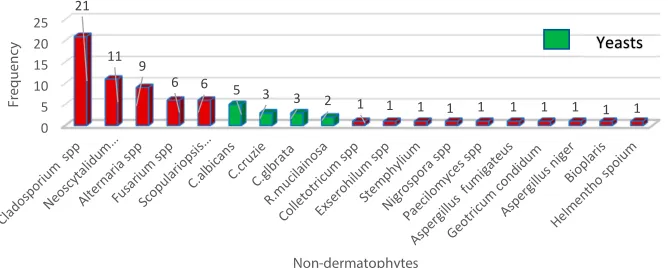 Table 4 Frequency and Distribution of Dermatophytes in Relation to Clinical Manifestation