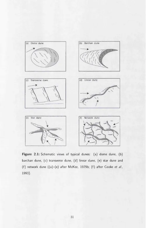 Figure 2.1: Schematic views of typical dunes: 