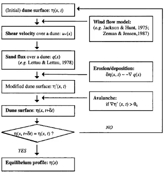 Figure 3.2: Flow chart for dune modelling in the conventional method.