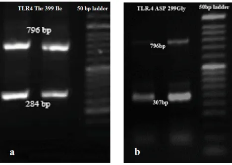 Table 4 Haplotype Association with Response (n = 200)