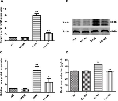 Table 2 Metabolic Proﬁle Analysis of Mouse Parameters