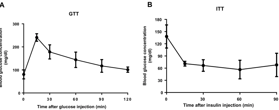 Figure 3 GTT (A) and ITT (B) in C57BL/6J, 20 weeks old female mice fed with chow diet