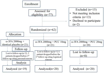 Figure 1 CONSORT ﬂow diagram.