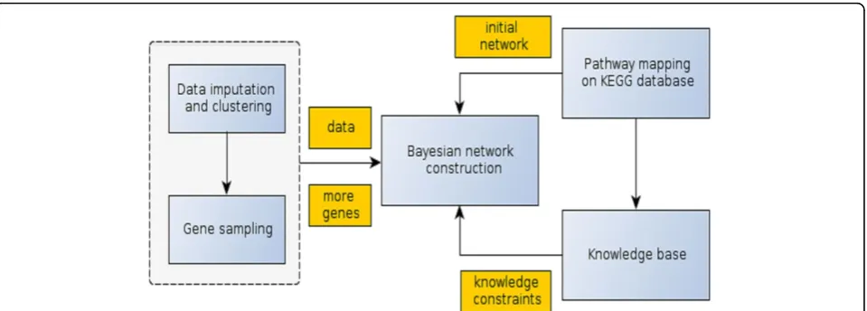 Figure 1 The main components of the metabolic pathway construction method and their relationships